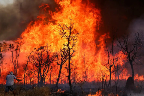 Sitiante é multado em mais de R$ 8 mil por atear fogo em área de vegetação para mudança de cultura, em Álvares Machado